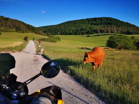 keine Fotomontage   
Tatsächlich an dieser Stelle eine Ampel - und sie ist gerade mal rot!