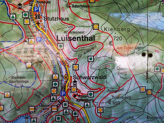 Und da kommt der Herr Hoyer aus dem Schwarzwald, um in Thüringen Schwarzwald zu finden. 
