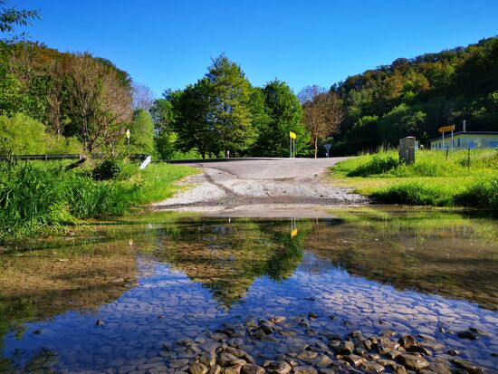 Um diese herrliche Pfütze mit der wunderbaren Spiegelung wird es gleich geschehen sein 