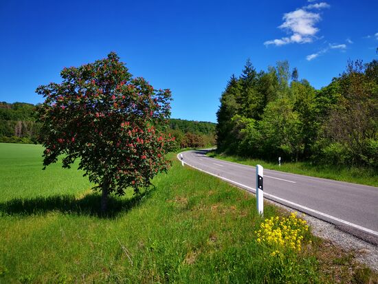 was für ein Postkartenwetter