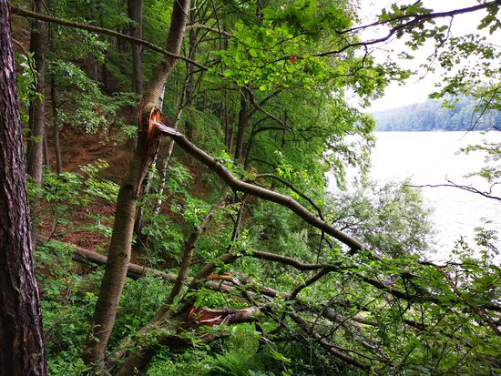 Sturmschäden auch hier sehr viele, jedoch der Weg für die Wanderer frei gemacht