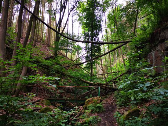 überall Sturmschäden