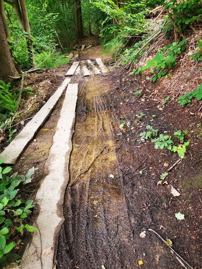 was für ein Luxus: Bretter über den Matsch