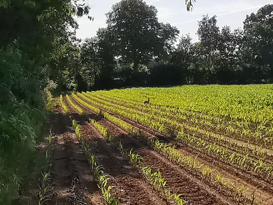Spaziergänge und Radtouren sind hier in jeder gewünschten Länge möglich.