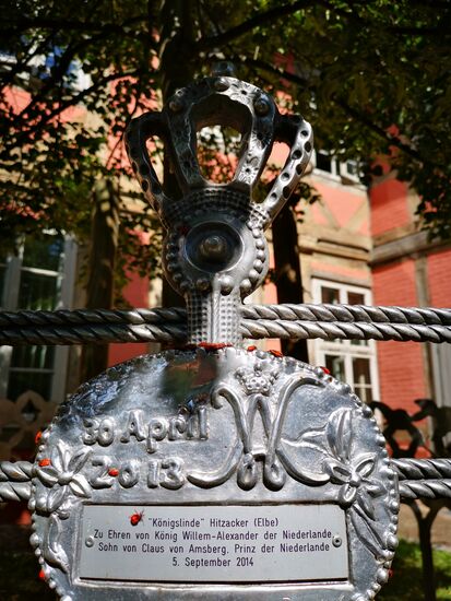 Königslinde am Rathaus