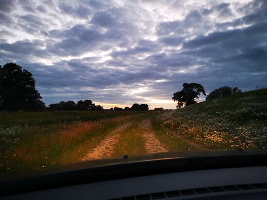 die Anfahrt beeindruckt mich und ich bin begeistert, kein Schild "verboten" oder "Landwirtschaft frei" zu sehen.