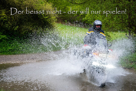 und so werde ich dann zur "Action-Fotografin"