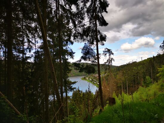 Bleilochtalsperre in Sicht