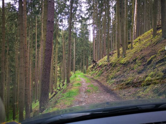 normalerweise wandere ich auf solchen Wegen