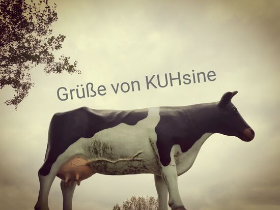 Lieber Michael, DANKE für die Möglichkeit, Dich bei dieser interessanten Reise begleiten und unterstützen zu dürfen.