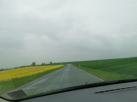 es leuchtet der Raps