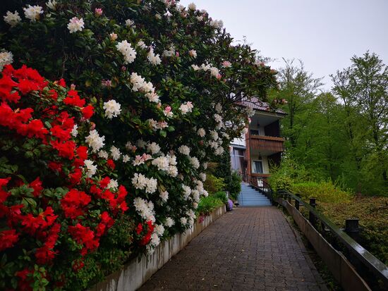 der Aufgang zum Eingang