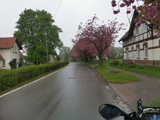 rosa..... nicht meine Lieblingsfarbe, aber wenn man nur noch grau sieht, kann man sich auch für ROSA begeistern 