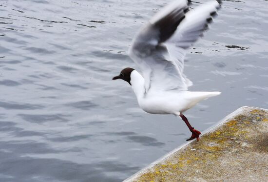 und bereit zum Start 