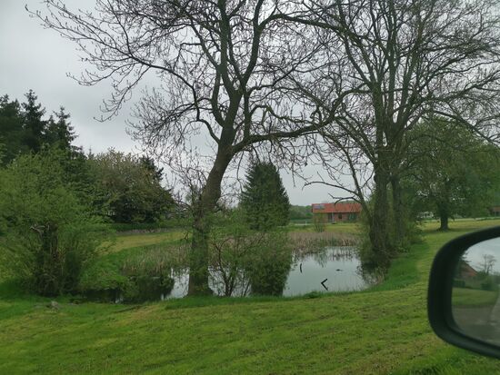 typischer Dorfweiher