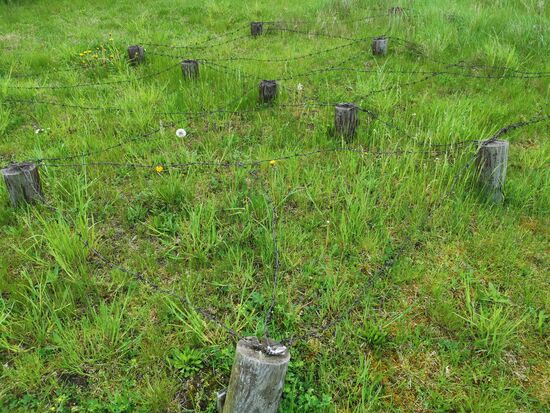 Stacheldraht in Bodennähe, um Fluchten zu erschweren.