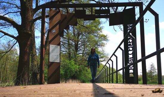 ca. 800 m durch die Moorlandschaft