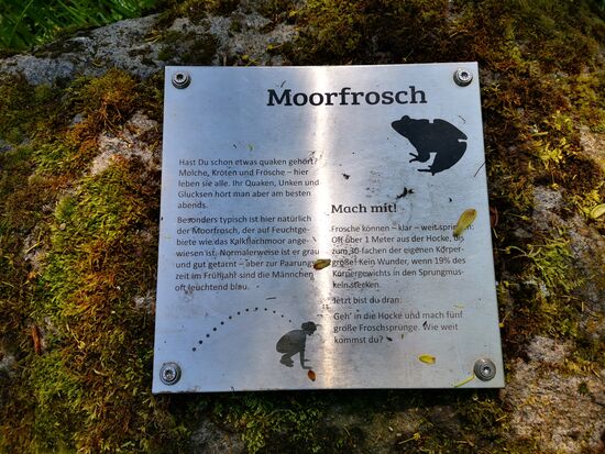 Überall gibt es Hinweis-Schilder, die Flora und Fauna erklären.