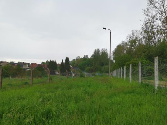 wo heute Menschen laufen dürfen, liefen früher Hunde, aber definitiv nicht zum Spaß 