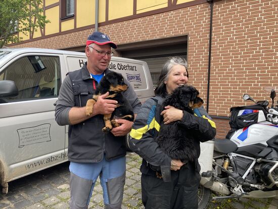 und hier mit zwei 8 Wochen alten Rottweiler-Mädels .... ich habe mich schockverliebt