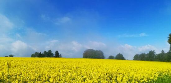 vor dem Grenzmuseum Schifflersgrund - www.grenzmuseum.de/