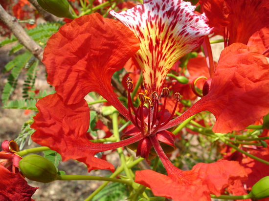 Ist das nicht schön?