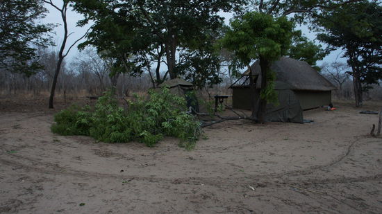 am Morgen nach dem Sturm