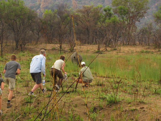 wir mussten uns sehr vorsichtig annähern