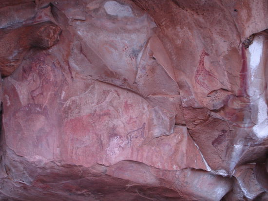 Buschmann Zeichnungen