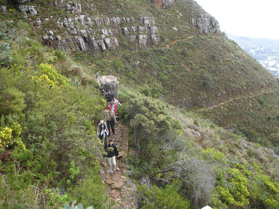 Tafelberg: Auf dem Weg zum Gipfel