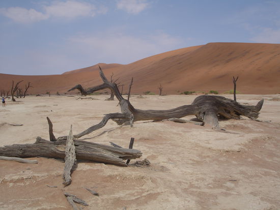 Deadvlei
