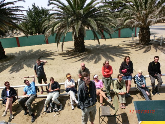 geduldiges warten am Straßenrand