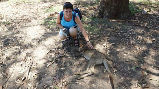 im Lone Pine Tierpark - Brisbaine