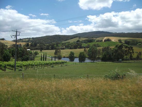Auf dem Weg nach Healesville
