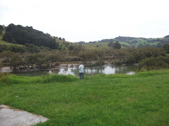 weiter Rtg. Bay of Island