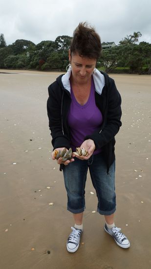 jede Menge tolle Muscheln 