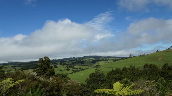 Weg nach Whangarai