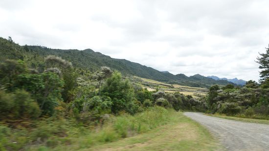 Weg nach Coromandel-Peninsula