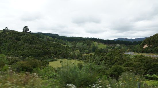 Weg nach Coromandel-Peninsula