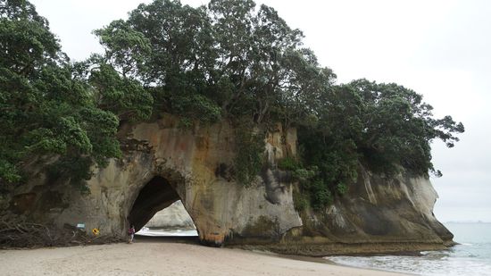 Cathedral-Cove