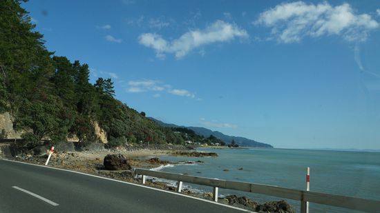 rauhe Westküste von Coromandel-P.