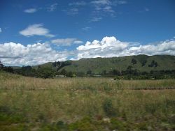 Weg nach Wellington