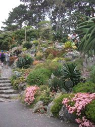 Bot. Garten