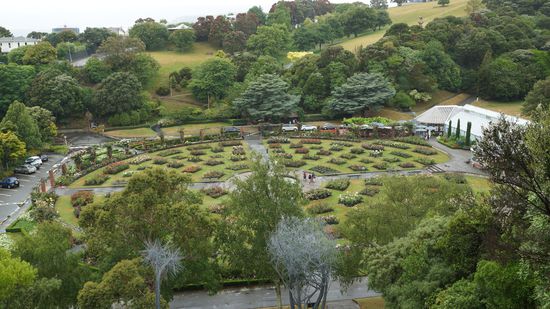 herrlicher Rosengarten im Bot.G.
