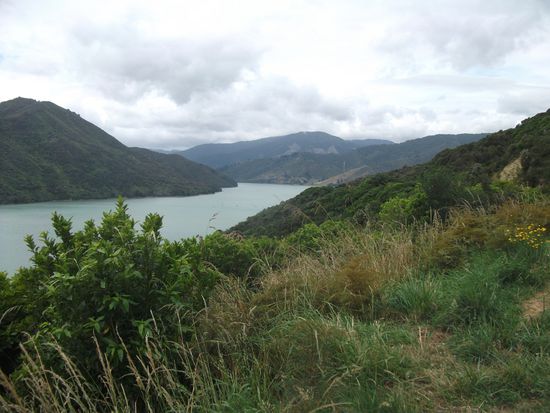 Blick über den Queen-Charlotte-Sound, kurz vor Picton.