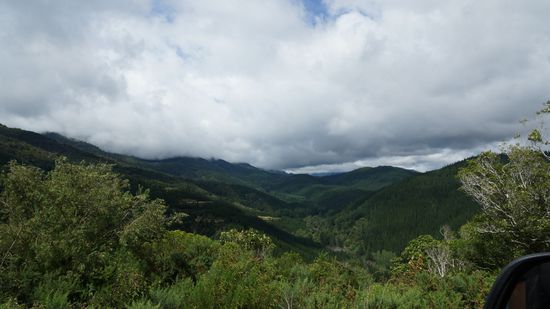 weiter Richtg. Nelson