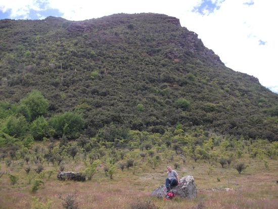 Mt Iron, 527 m hoch.