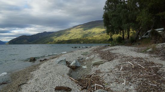 einsamer Strand mit genug Treibholz für ein Lagerfeuer ...