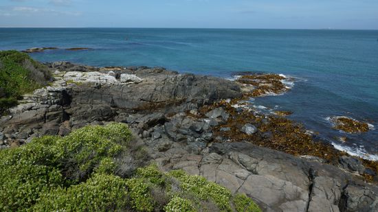 Bluff: äußerste Südspitze der Südinsel - gegenüber von Stewart Island.