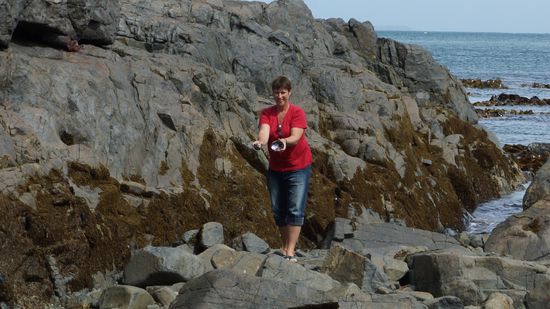 Bluff: hier haben wir die schönsten Paua-Muscheln gefunden 